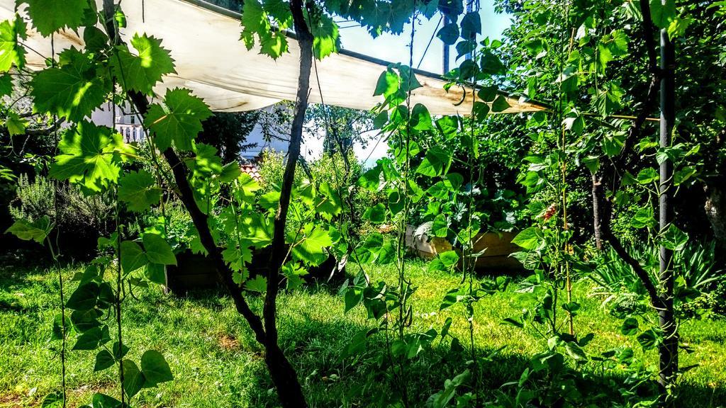 Stressfree Villa Ičići Dış mekan fotoğraf