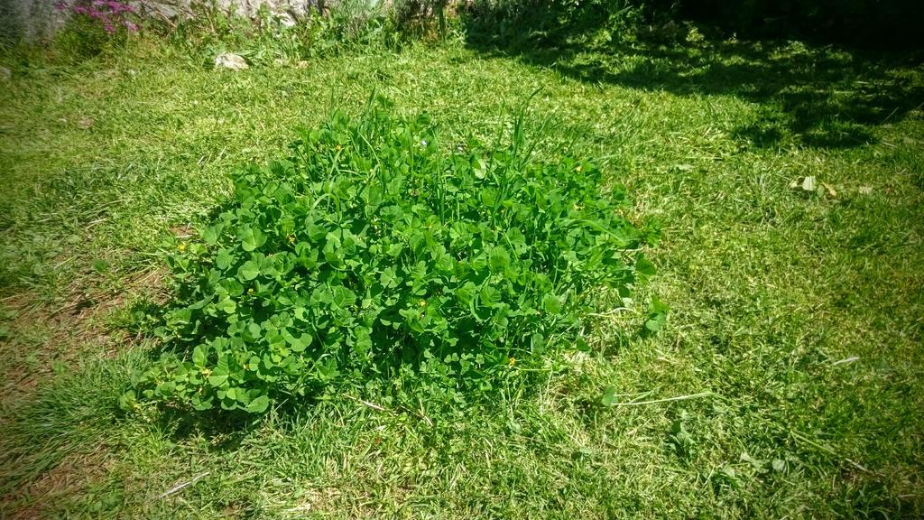 Stressfree Villa Ičići Dış mekan fotoğraf