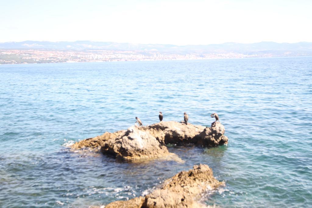 Stressfree Villa Ičići Dış mekan fotoğraf